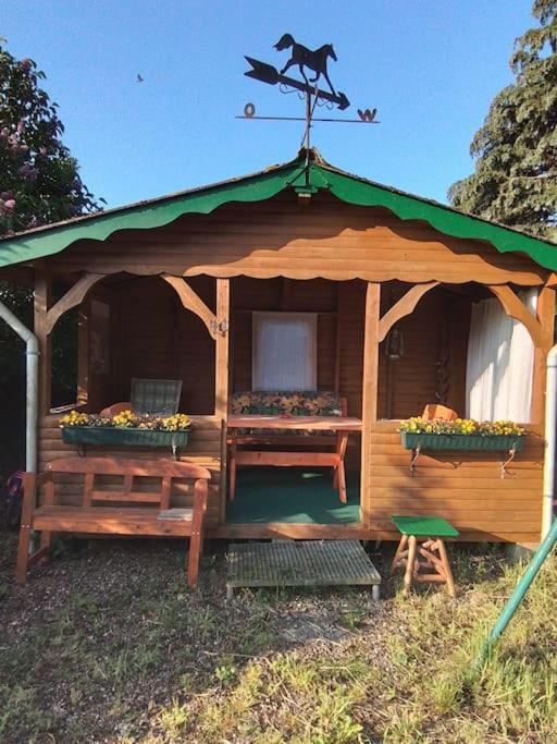 42 Qm Ferienwohnung Gromitz Bagian luar foto